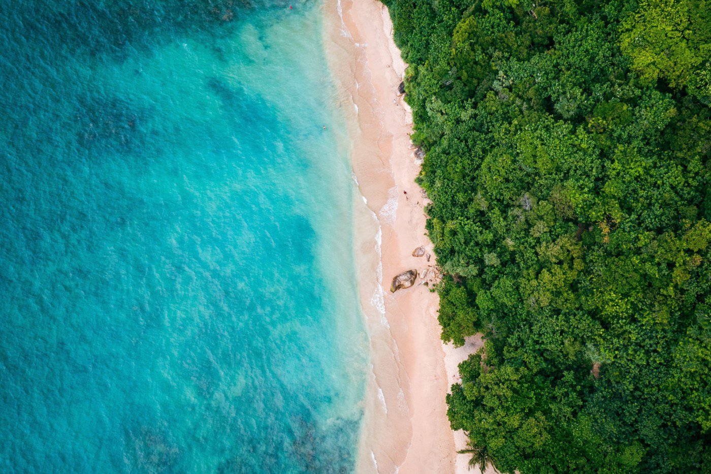 East Coast Surf, Safari and Island Adventure