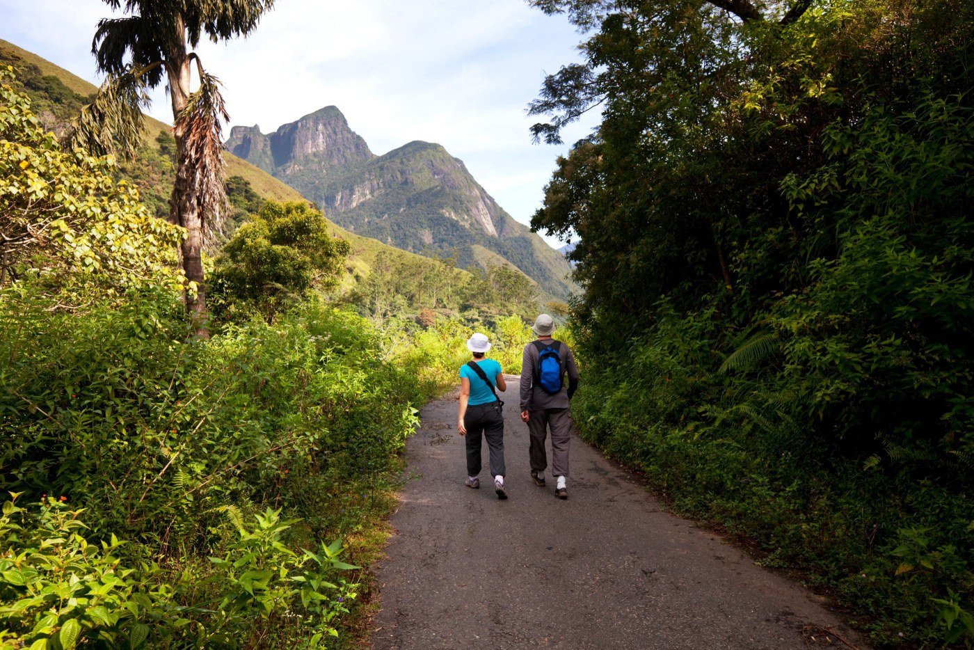 Knuckles Mountain Range - Guided Trek