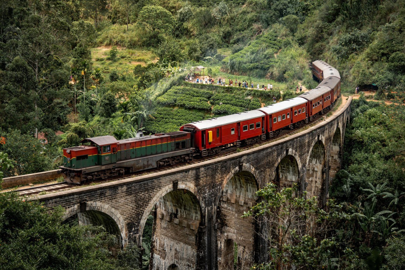 The Train from Nanu Oya: What to Do, Where to Sit and What Not to Miss