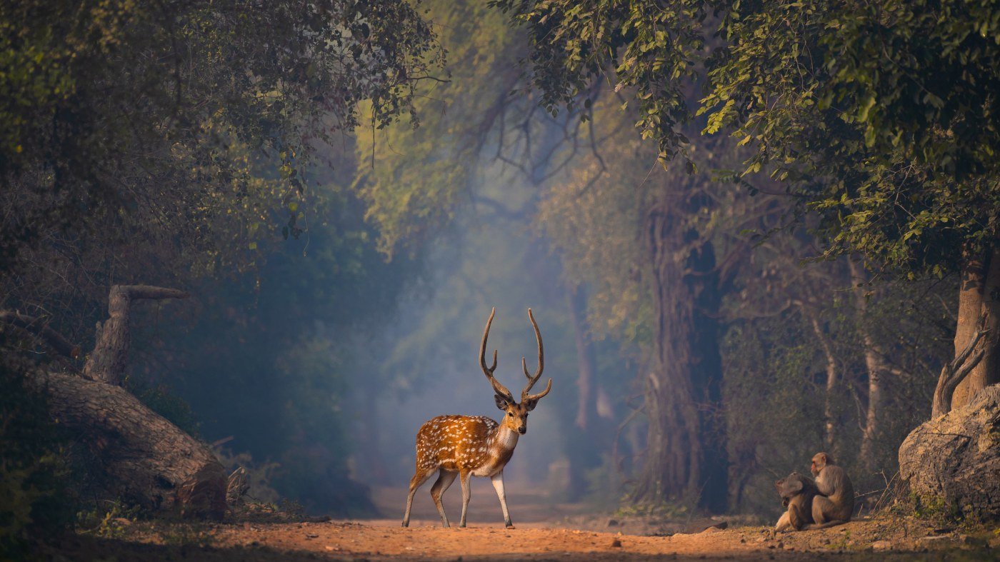 Wilpattu National Park