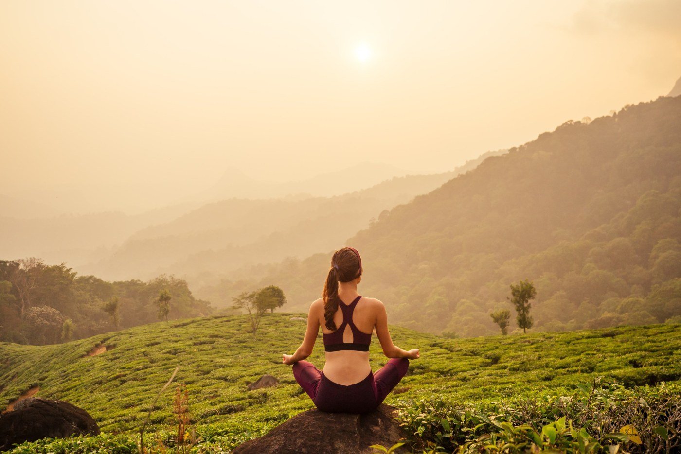 Scenic Highlands, Wellness and South Coast Slow Escape
